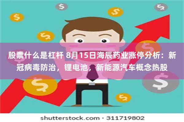 股票什么是杠杆 8月15日海辰药业涨停分析：新冠病毒防治，锂电池，新能源汽车概念热股