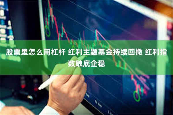 股票里怎么用杠杆 红利主题基金持续回撤 红利指数触底企稳