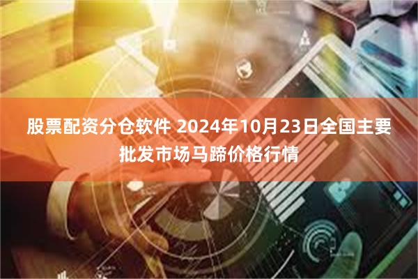 股票配资分仓软件 2024年10月23日全国主要批发市场马蹄价格行情