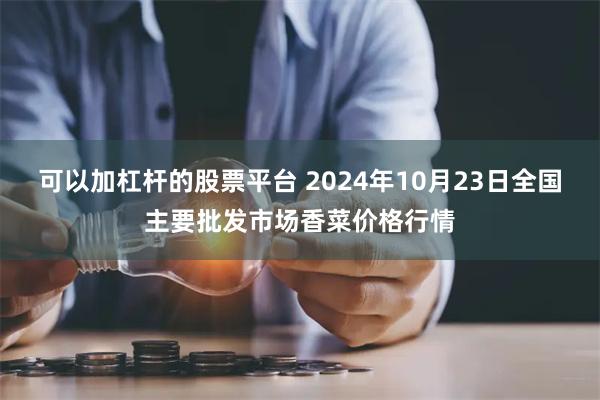 可以加杠杆的股票平台 2024年10月23日全国主要批发市场香菜价格行情