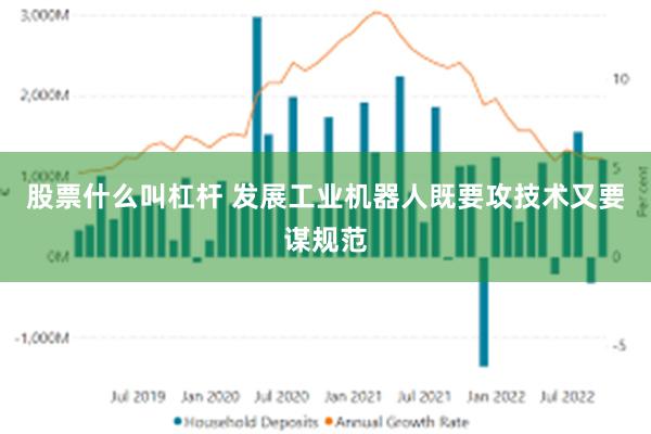 股票什么叫杠杆 发展工业机器人既要攻技术又要谋规范