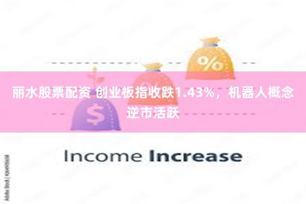 丽水股票配资 创业板指收跌1.43%，机器人概念逆市活跃