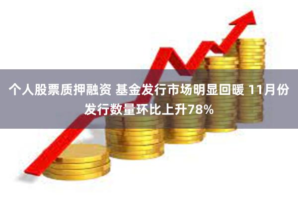 个人股票质押融资 基金发行市场明显回暖 11月份发行数量环比上升78%