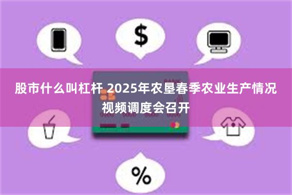 股市什么叫杠杆 2025年农垦春季农业生产情况视频调度会召开